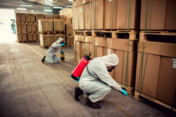Best Mosquito Control Services  in Speer, NC