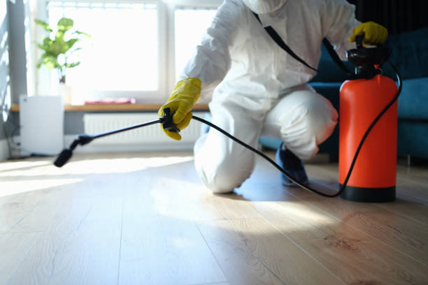 Wasp Removal Services in Spencer, NC