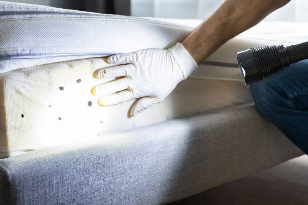 Best Commercial Pest Control Services  in Speer, NC