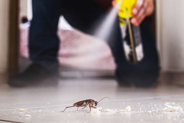 Best Mosquito Control Services  in Speer, NC