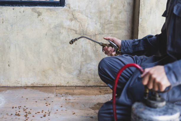 Best Exterminator Services  in Speer, NC